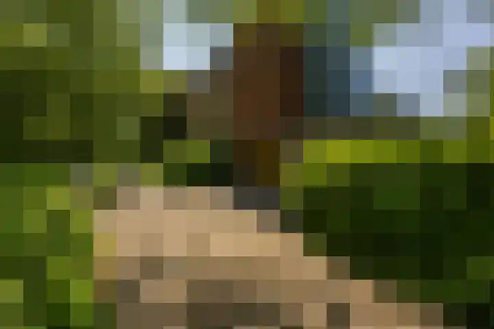 Verzetsstrijderslaan 18 Groningen thumbnail 4