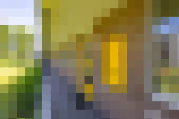 Verzetsstrijderslaan 18 Groningen thumbnail 7