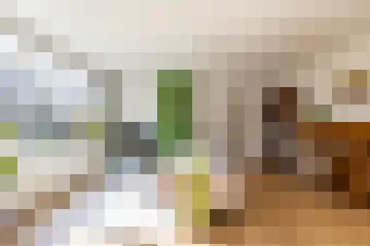 Verzetsstrijderslaan 20 Groningen thumbnail 10