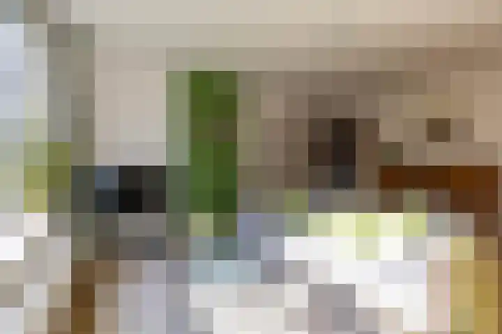 Verzetsstrijderslaan 20 Groningen thumbnail 11