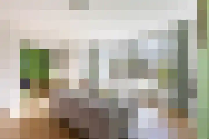 Verzetsstrijderslaan 20 Groningen thumbnail 12