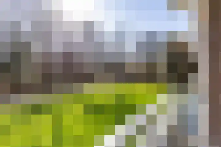 Verzetsstrijderslaan 20 Groningen thumbnail 18