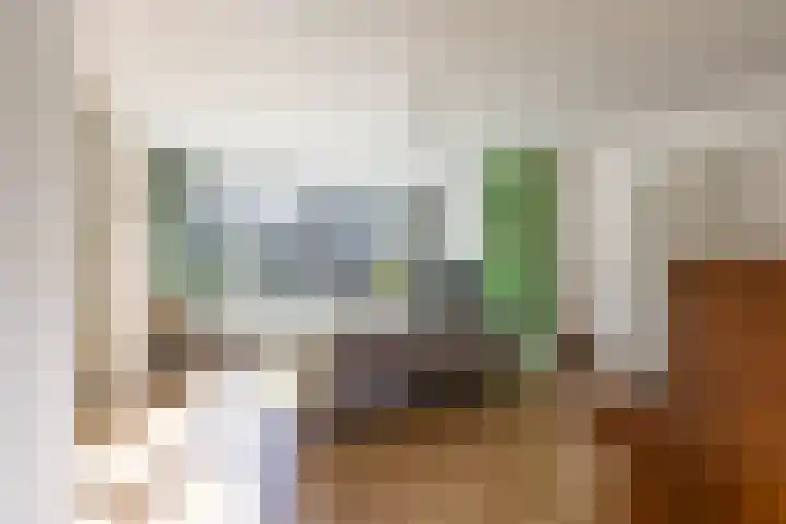 Verzetsstrijderslaan 20 Groningen thumbnail 9