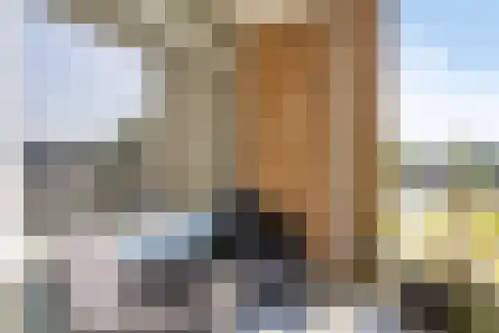 Verzetsstrijderslaan 218 Groningen thumbnail 22