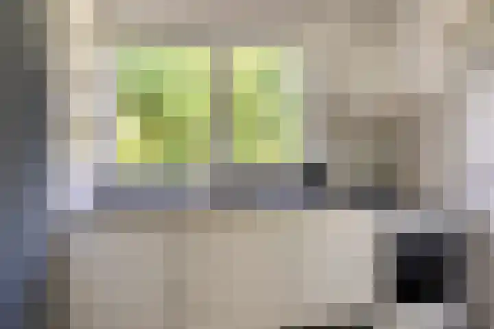 Verzetsstrijderslaan 218 Groningen thumbnail 26