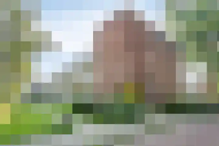 Verzetsstrijderslaan 218 Groningen thumbnail 34