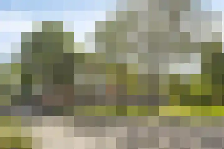 Verzetsstrijderslaan 218 Groningen thumbnail 36