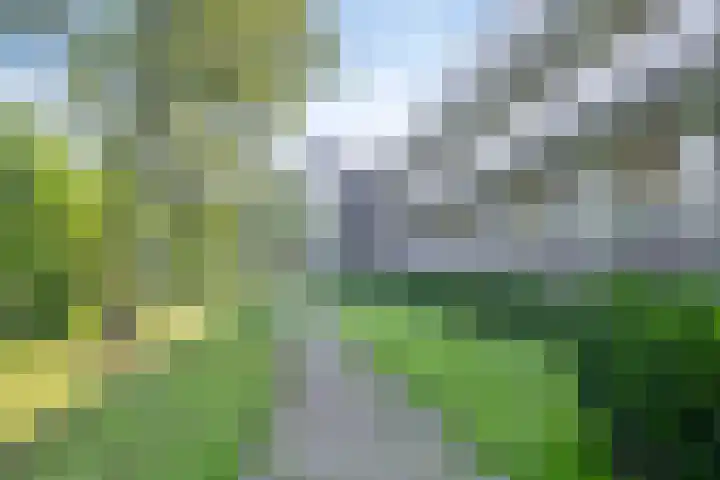 Verzetsstrijderslaan 218 Groningen thumbnail 38