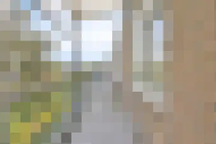 Verzetsstrijderslaan 218 Groningen thumbnail 9