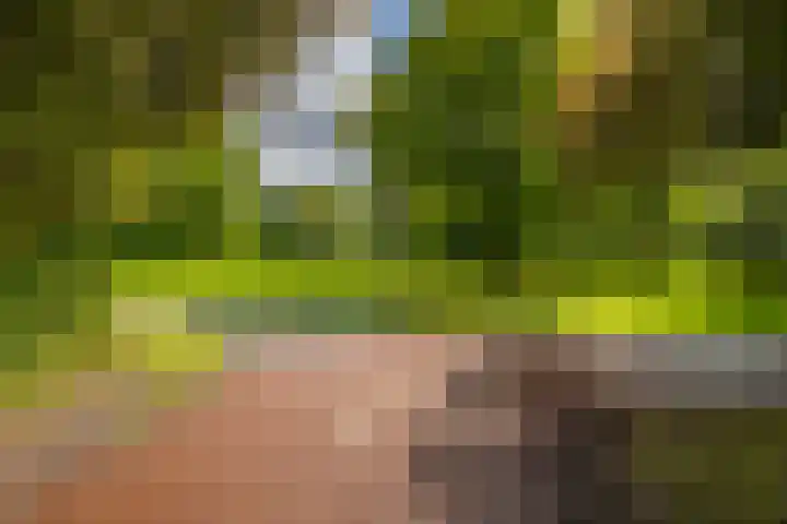 Verzetsstrijderslaan 40 Groningen thumbnail 30