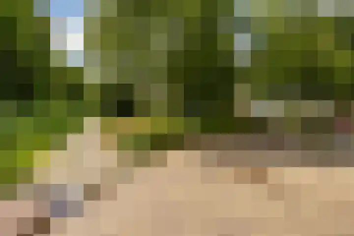 Verzetsstrijderslaan 40 Groningen thumbnail 31
