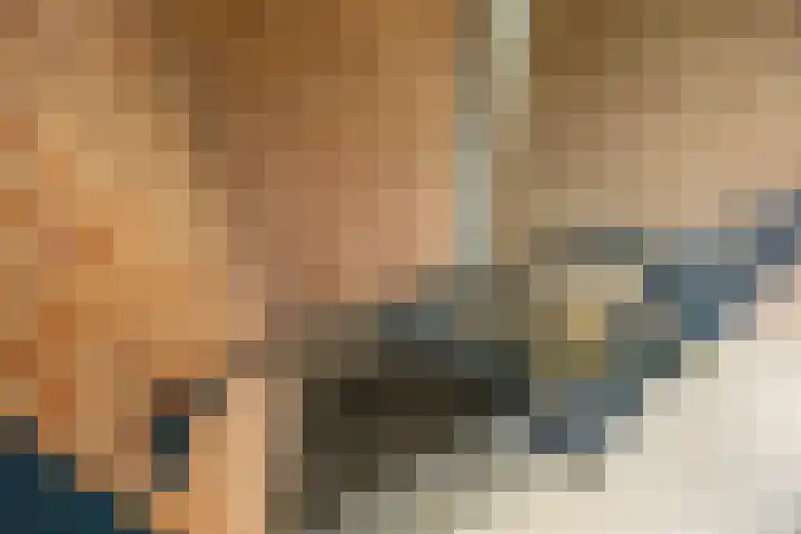 Verzetsstrijderslaan 40 Groningen thumbnail 5