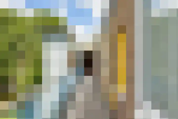 Verzetsstrijderslaan 40 Groningen thumbnail 6
