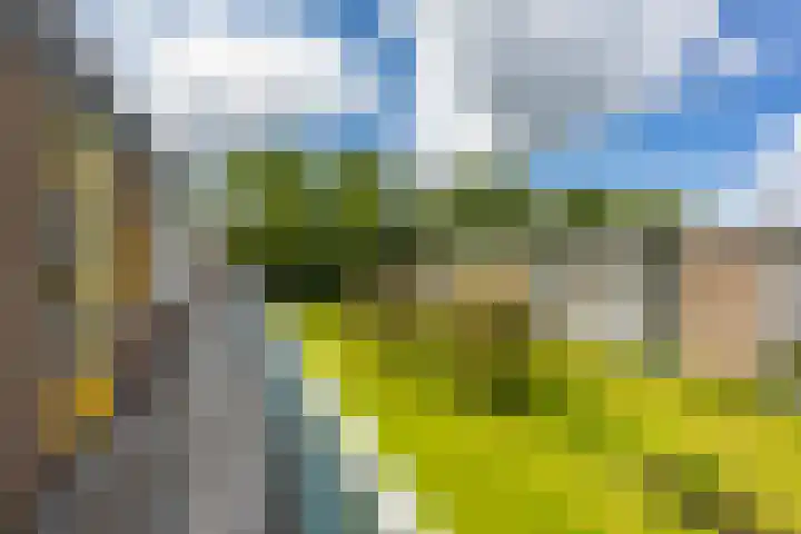 Verzetsstrijderslaan 40 Groningen thumbnail 7