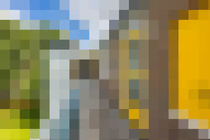 Verzetsstrijderslaan 40 Groningen thumbnail 8