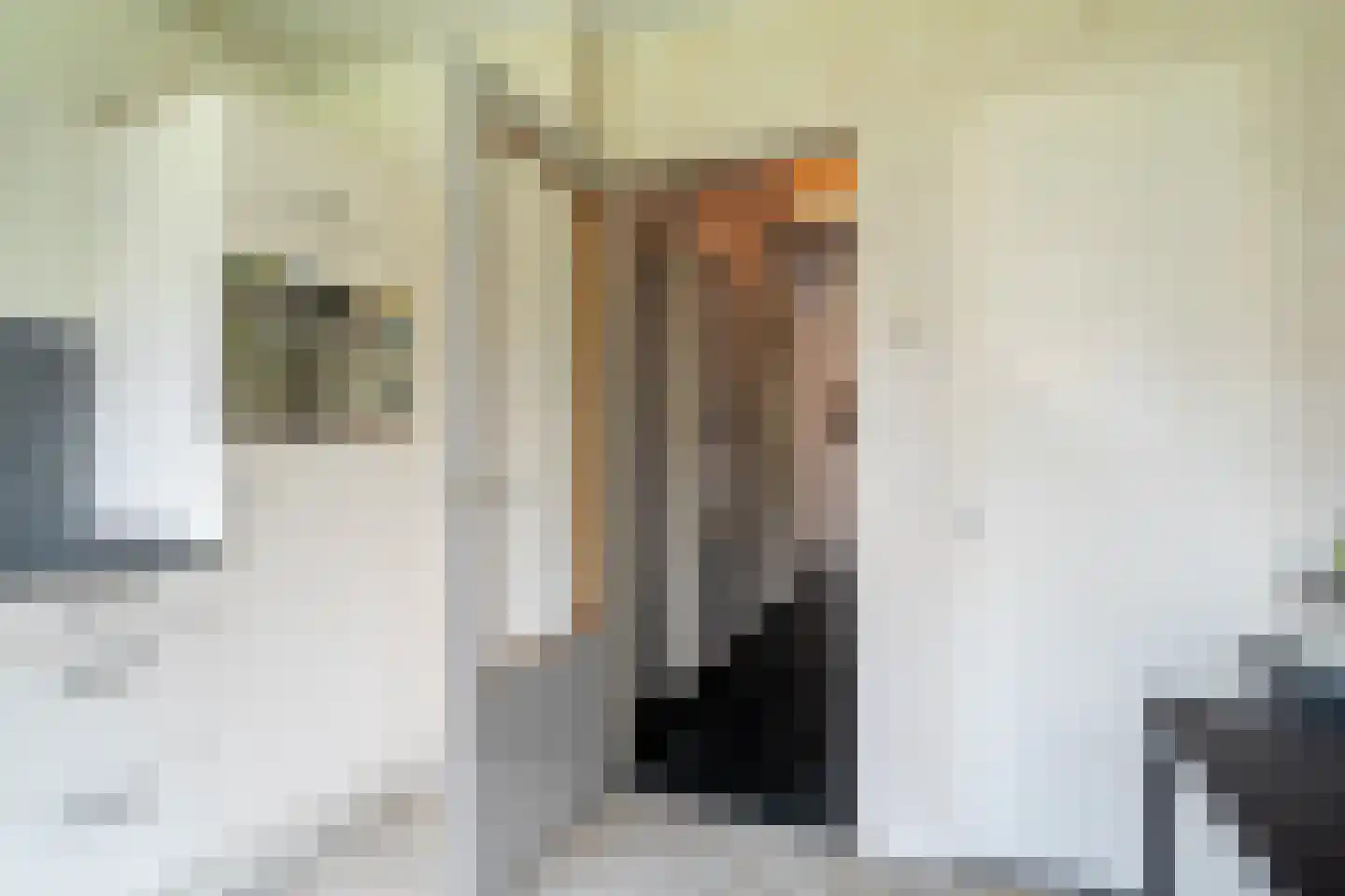 Verzetsstrijderslaan 77 Groningen thumbnail 23