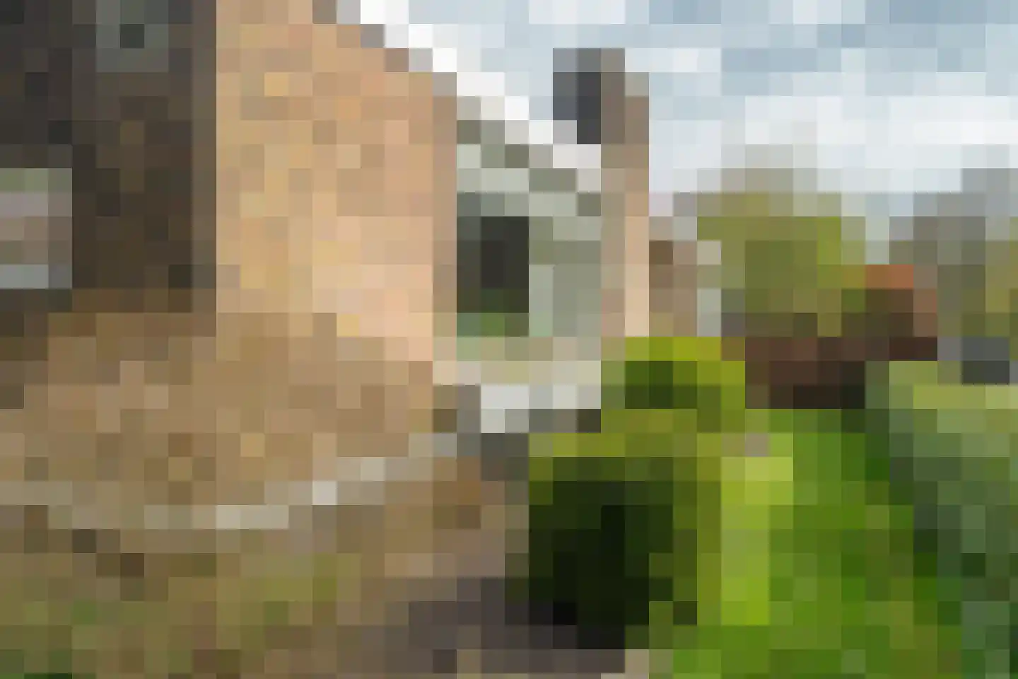 Verzetsstrijderslaan 77 Groningen thumbnail 39