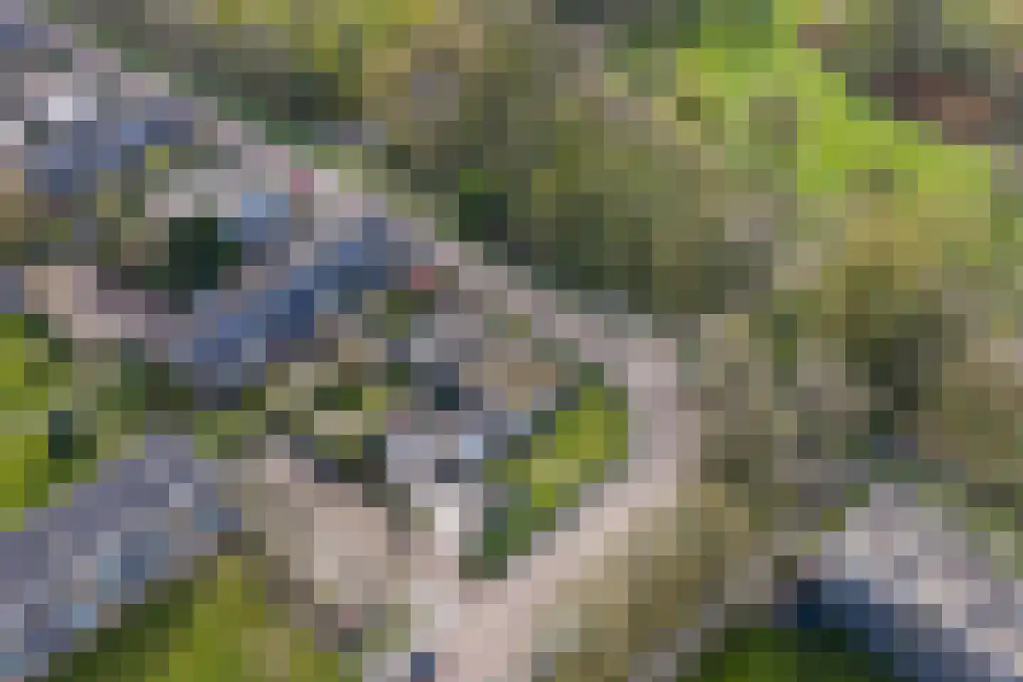 Verzetsstrijderslaan 77 Groningen thumbnail 4
