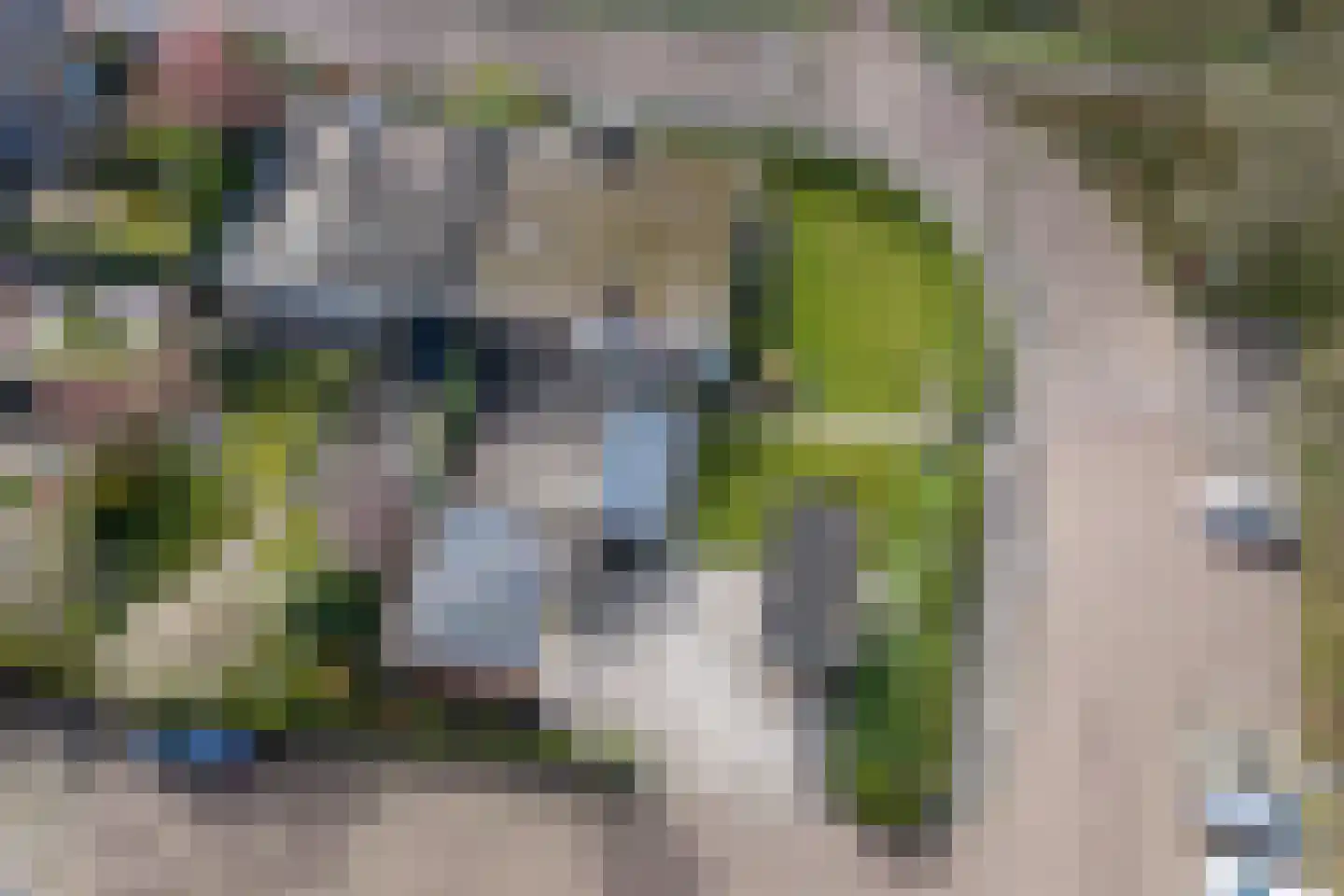 Verzetsstrijderslaan 77 Groningen thumbnail 47