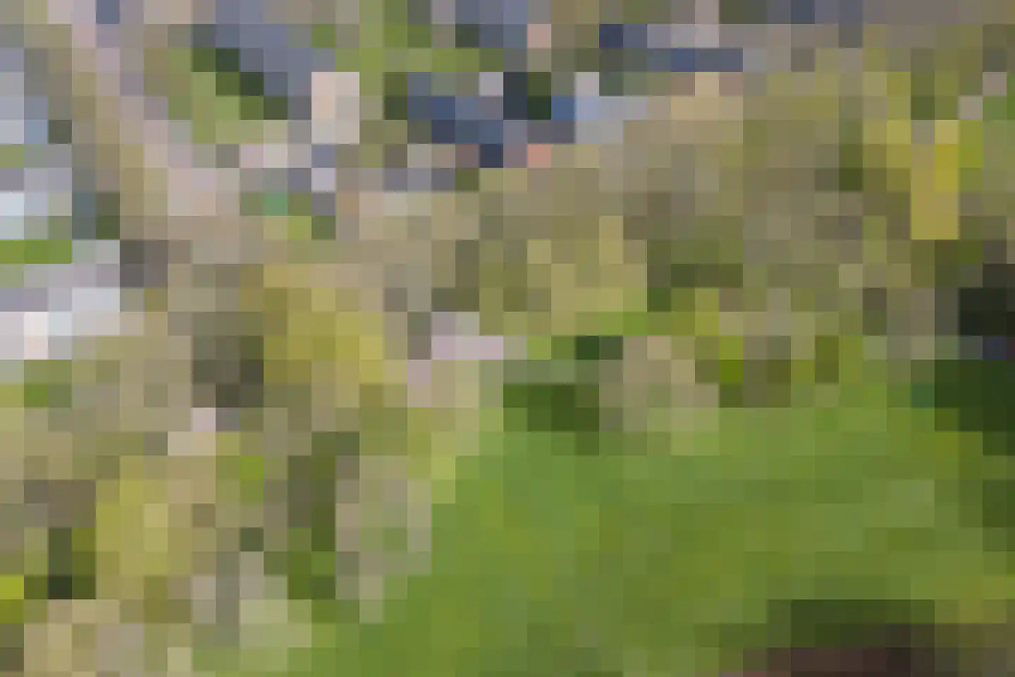 Verzetsstrijderslaan 77 Groningen thumbnail 50
