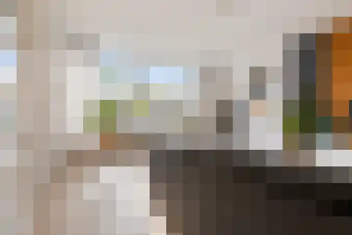 Verzetsstrijderslaan 84 Groningen thumbnail 10