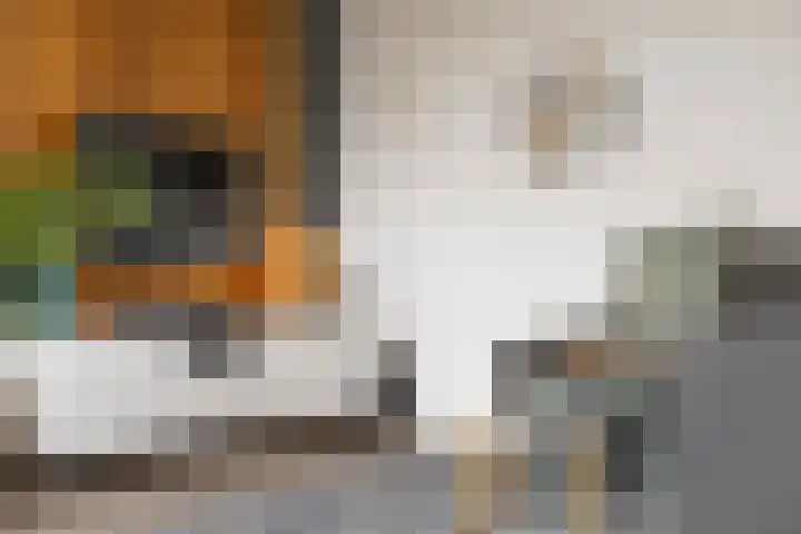 Verzetsstrijderslaan 84 Groningen thumbnail 12