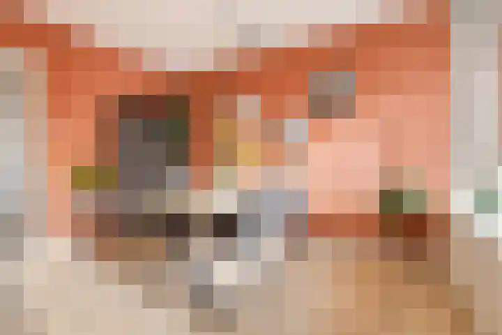 Verzetsstrijderslaan 84 Groningen thumbnail 17