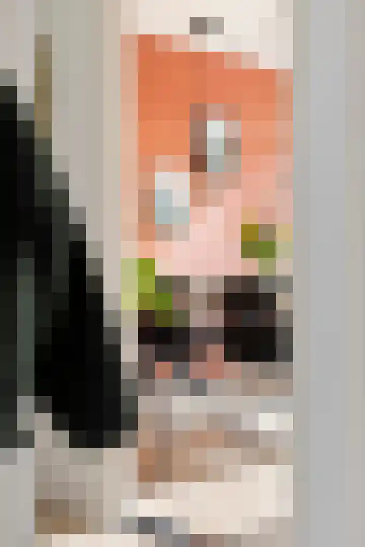 Verzetsstrijderslaan 84 Groningen thumbnail 20