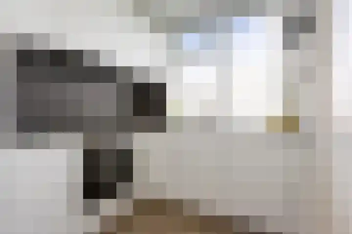 Verzetsstrijderslaan 84 Groningen thumbnail 21
