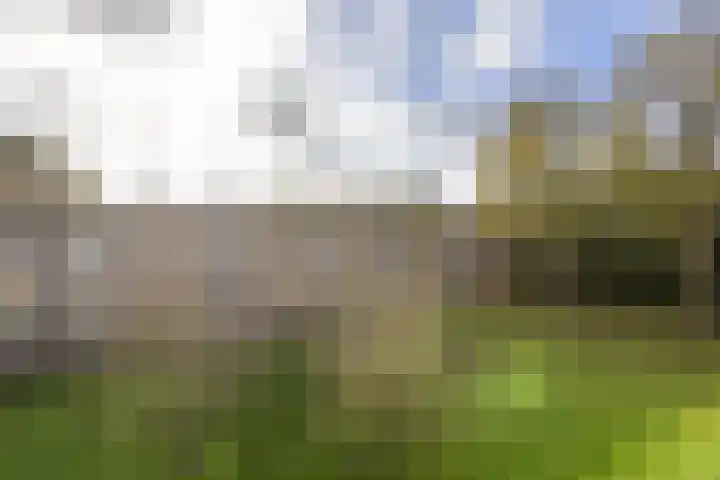 Verzetsstrijderslaan 84 Groningen thumbnail 33