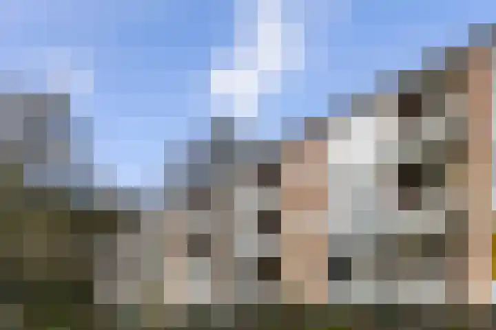 Verzetsstrijderslaan 84 Groningen thumbnail 34