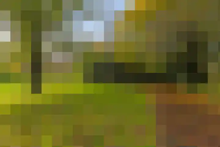 Verzetsstrijderslaan 84 Groningen thumbnail 37