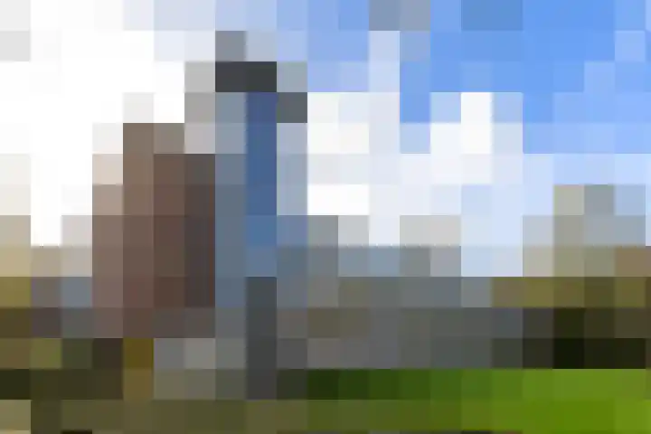 Verzetsstrijderslaan 84 Groningen thumbnail 5