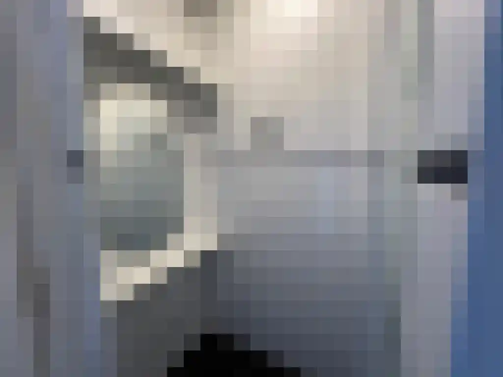 Verzetsstrijderslaan Groningen thumbnail 4