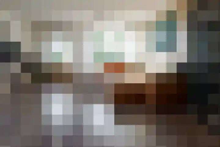 Verzetstraat 104 Vriezenveen thumbnail 11