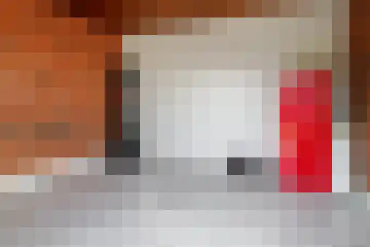 Verzetstraat 104 Vriezenveen thumbnail 24
