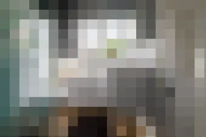 Verzetstraat 104 Vriezenveen thumbnail 33