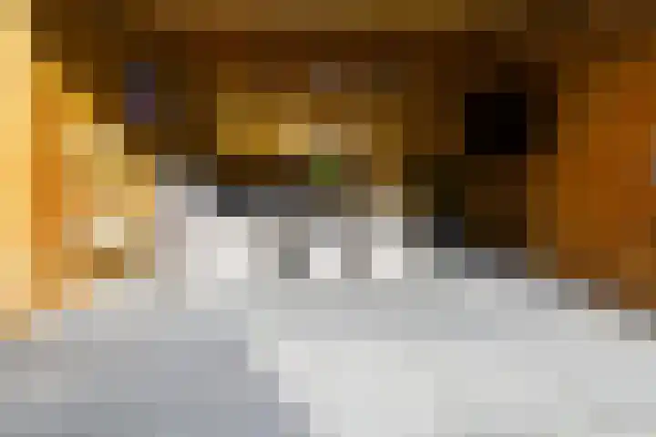 Verzetstraat 104 Vriezenveen thumbnail 41