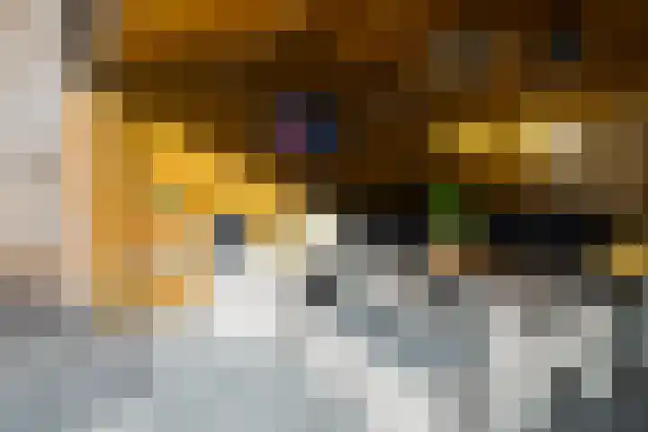 Verzetstraat 104 Vriezenveen thumbnail 42