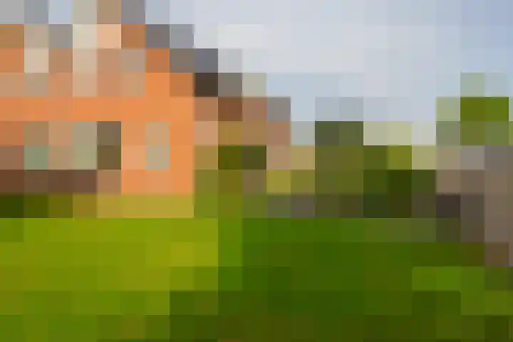 Verzetstraat 104 Vriezenveen thumbnail 43