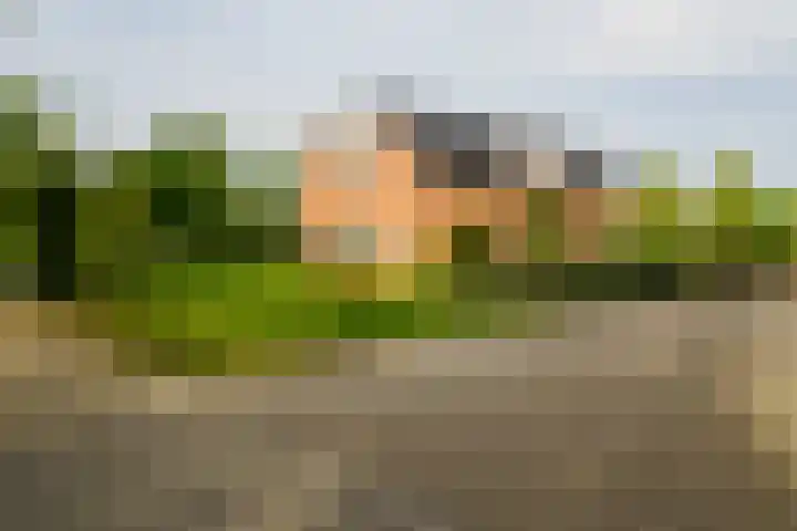 Verzetstraat 104 Vriezenveen thumbnail 44