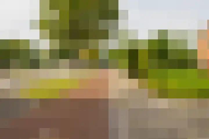 Verzetstraat 104 Vriezenveen thumbnail 45