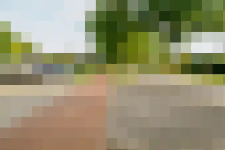Verzetstraat 104 Vriezenveen thumbnail 46