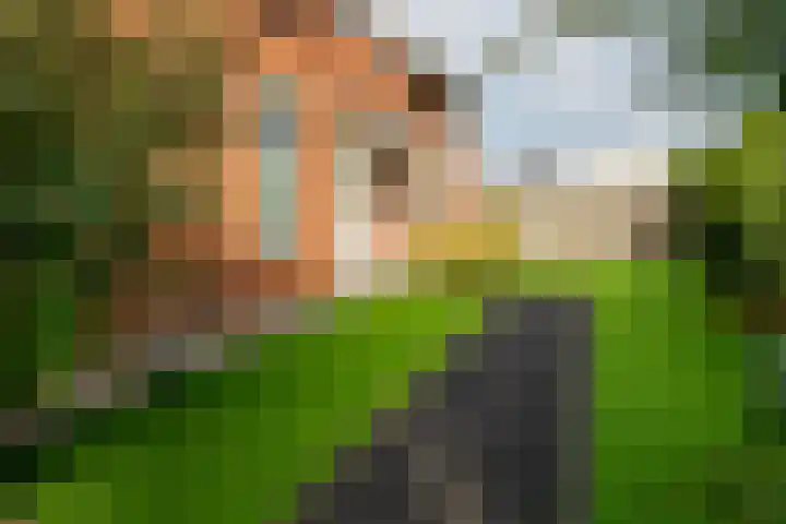 Verzetstraat 104 Vriezenveen thumbnail 8