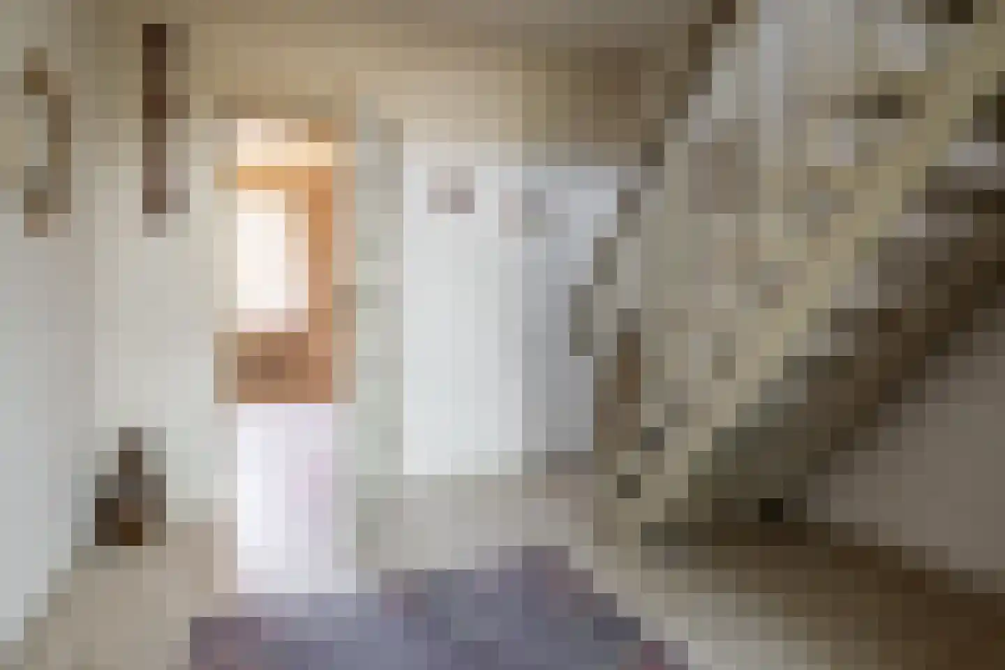 Verzetstraat 11 Vriezenveen thumbnail 11