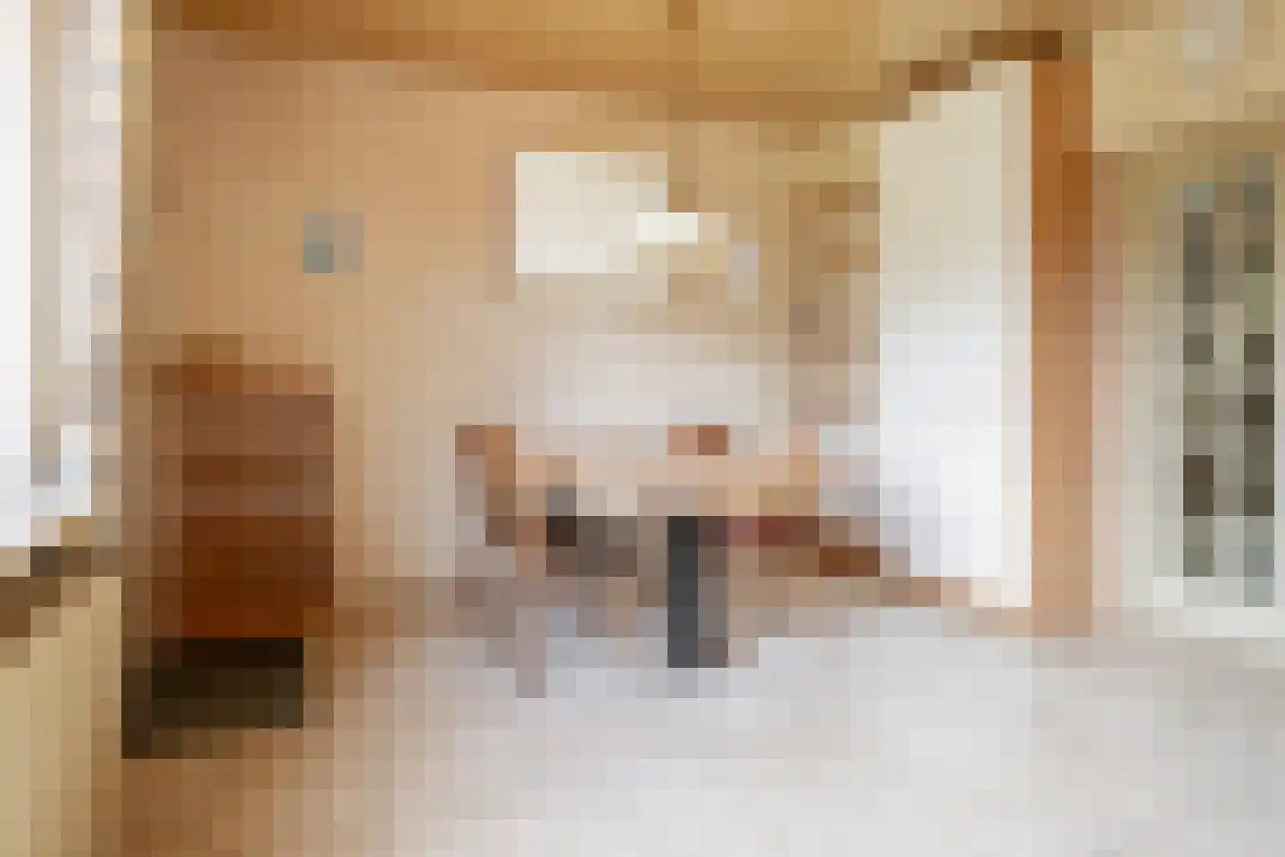 Verzetstraat 11 Vriezenveen thumbnail 12