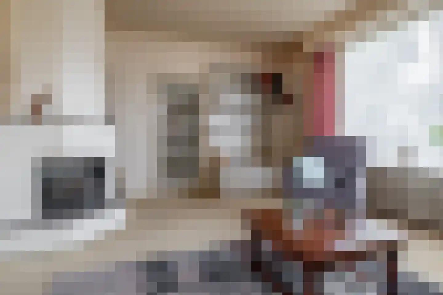 Verzetstraat 11 Vriezenveen thumbnail 25