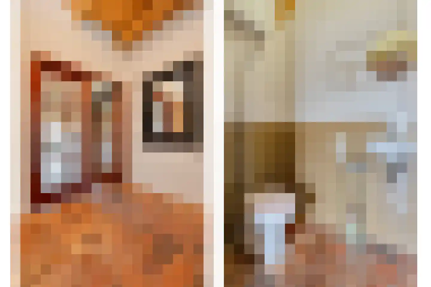 Verzetstraat 120 Vriezenveen thumbnail 11