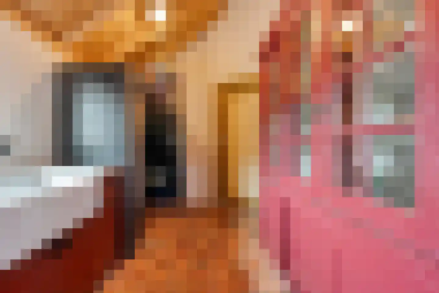 Verzetstraat 120 Vriezenveen thumbnail 13