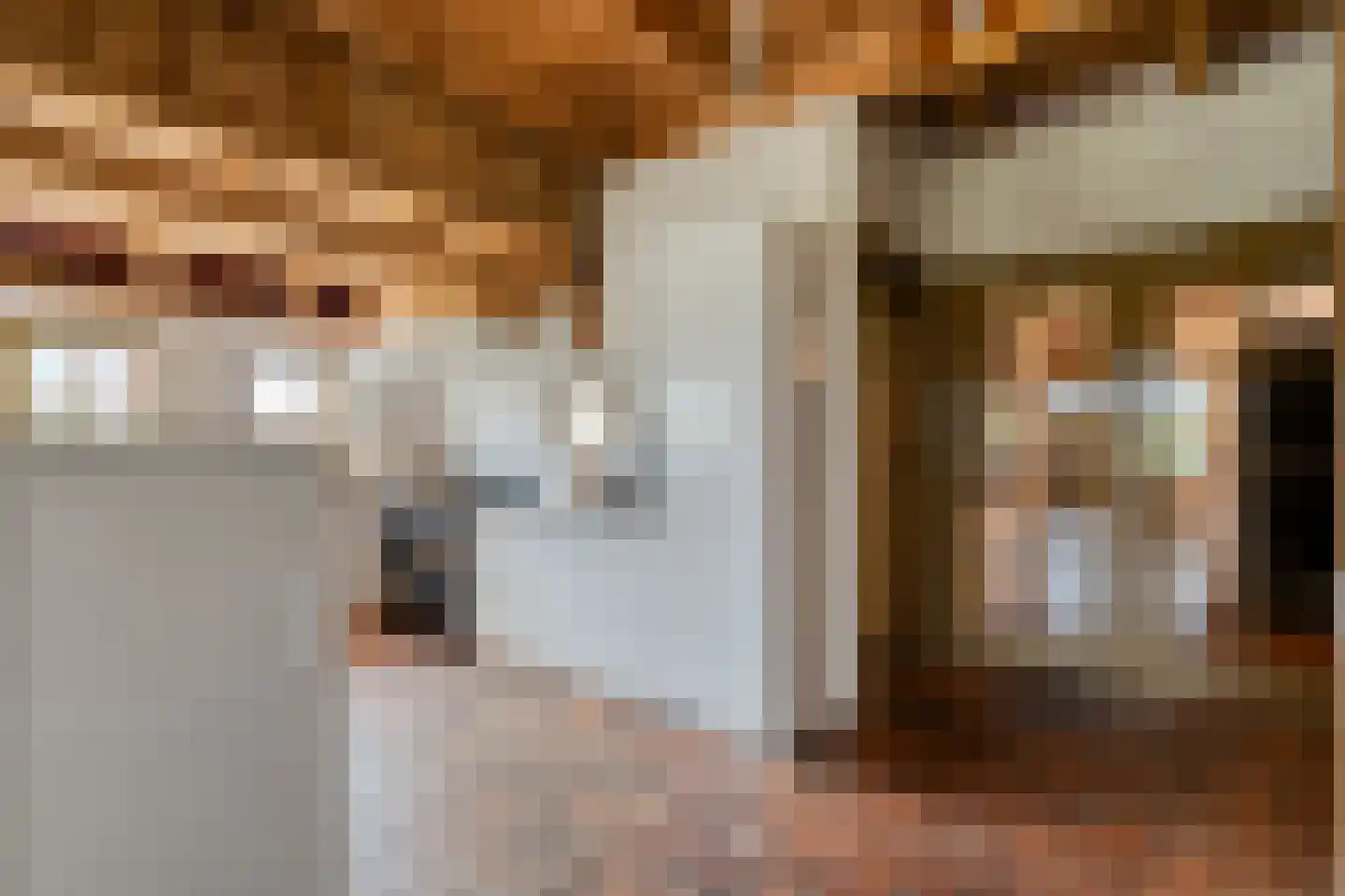 Verzetstraat 120 Vriezenveen thumbnail 17